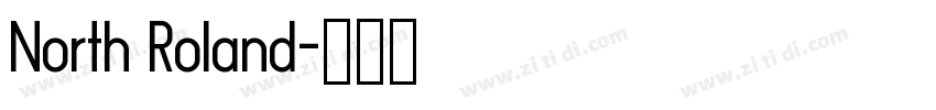 North Roland字体转换